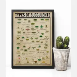 Types Of Succulent Poster Or Canvas Succulent Knowledge Wall Art Vintage Botanical Wall Decor Gardening Art Print Succulent Lover Gift