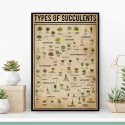 Types Of Succulent Vintage Poster Knowledge Wall Art Succulent Wall Art Plant Sign Gardening Decor Succulent Lover Gift Succulent Art