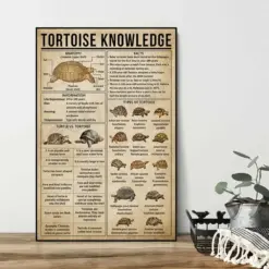 Types Of Turtle Knowledge Poster Tortoises Of Knowledge Poster Knowledge Poster Knowledge Art Home Wall Art Education Decor Vintage