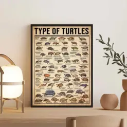 Types Of Turtles Vintage Poster Turtle Lover Gift Turtle Poster Tortoises Of Knowledge Poster Vintage Knowledge Poster Turtle Wall Art