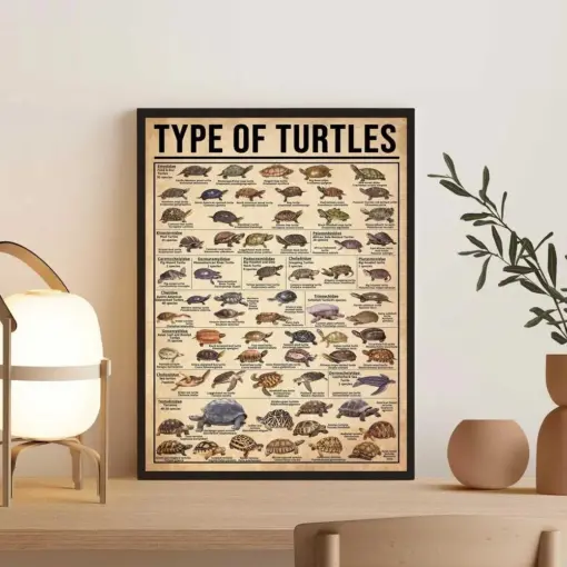 Types Of Turtles Vintage Poster Turtle Lover Gift Turtle Poster ...