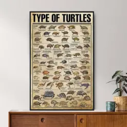 Types Of Turtles Vintage Poster Turtle Lover Gift Turtle Poster Vintage Knowledge Poster Knowledge Art Home Art Education Wall Decor