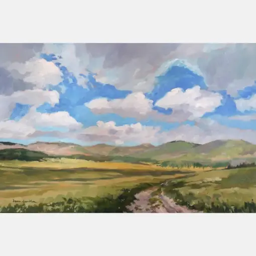 Valley Caldera Summer Vista New Mexico Los Almost Cloud Painting Extra Large Wall Art