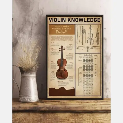 Violin Knowledge What Are The Different Parts Of A Violin