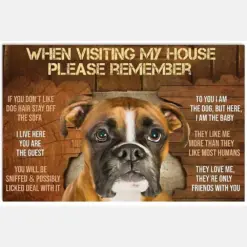 When Visiting My House Please Remember Boxer Dog