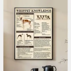 Whippet Dog Knowledge Poster Dog Breed Poster Dog Poster Vintage Poster Wall Art