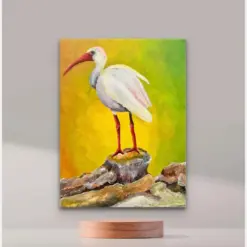 White Ibis Original Painting Acrylic Bird Art On Inch Canvas Beach House Decor Original Canvas Art