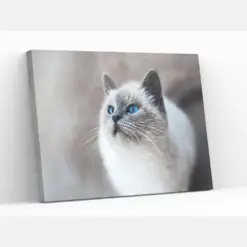 White Ragdoll Cat Ready To Hang Luxury Canvas Or Poster Wall Art Gift Large Framed Wall Art Print Aesthetic Home Decor Wall Hangings