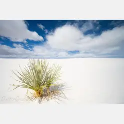 White Sands National Park Landscape Photography New Mexico Wall Art Fine Art Photography On Canvas Southwestern Scenery On Metal