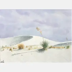 White Sands New Mexico