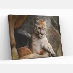 Wild Cat Cougar Puma In The Forest Ready To Hang Luxury Canvas Or Poster Wall Art Gift Large Framed Wall Art Print Aesthetic Decor