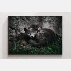 Wild Cat Print Black Cat Poster Print Wall Art Museum Quality Fine Art Photography | Wildlife Mystical Animal Travel South America