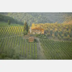 Wine Lovers Gift Tuscan Grapevine Farm House Decor