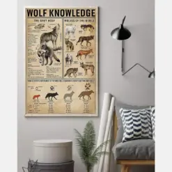 Wolf Knowledge Wolves Of The World