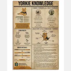 Yorkshire Terrier Knowledge