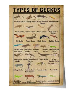 Types of Geckos Wall Decor Artwork Print Poster Wall Art Print Home Decor Vintage - Satin Portrait Poster