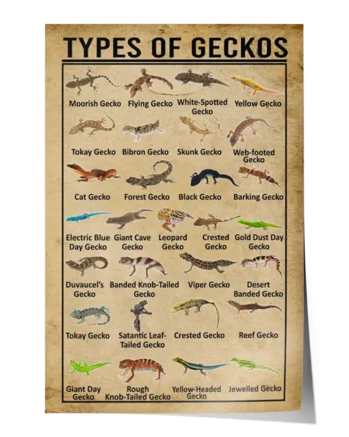 Types of Geckos Wall Decor Artwork Print Poster Wall Art Print Home Decor Vintage - Satin Portrait Poster