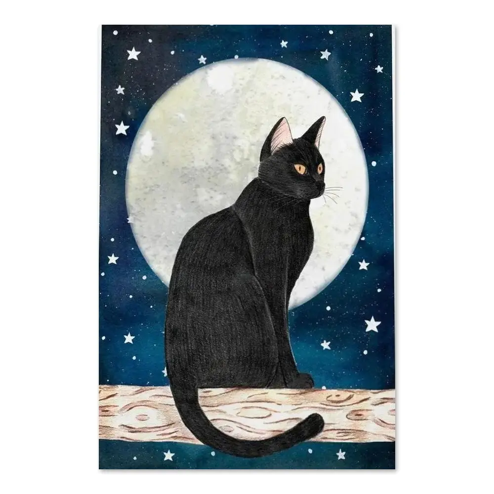 164122-poster.webp
