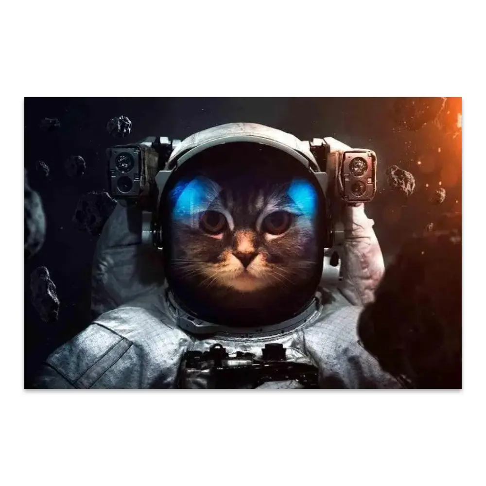 164698-poster.webp