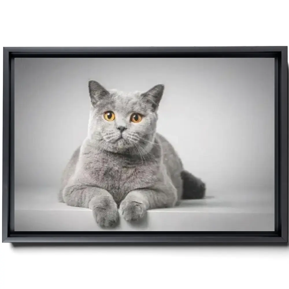 164806-framed.webp