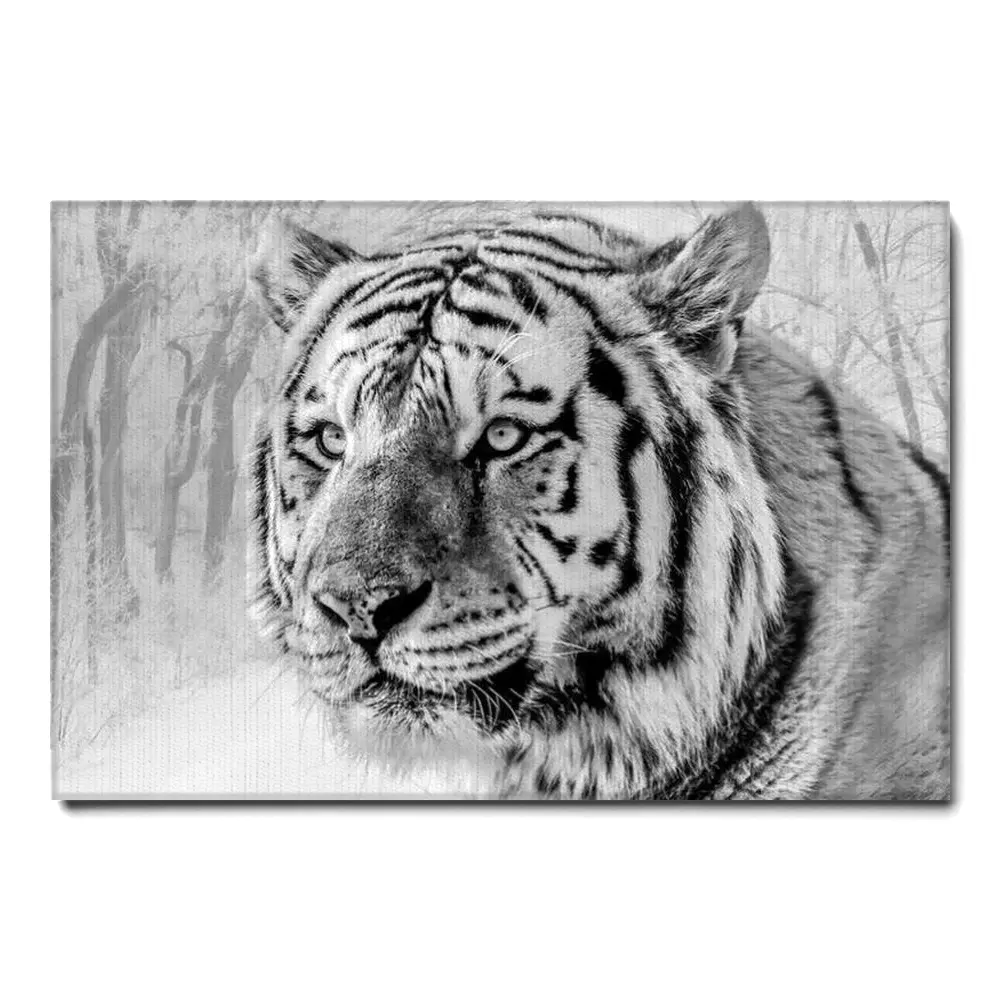164910-canvas.webp
