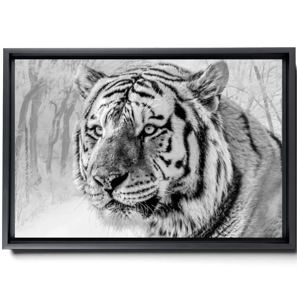164910-framed.webp