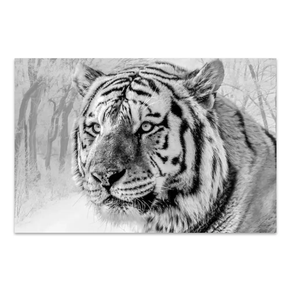 164910-poster.webp