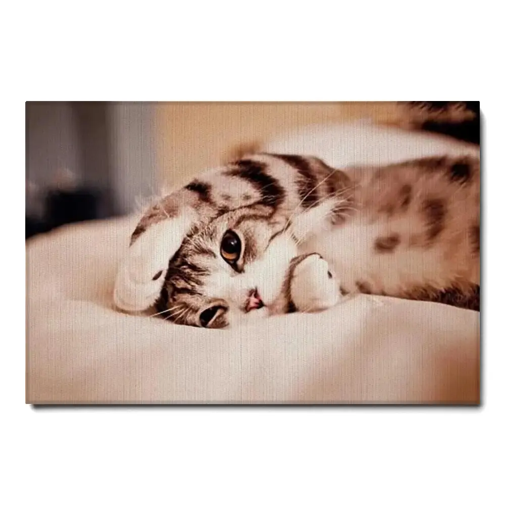 164992-canvas.webp
