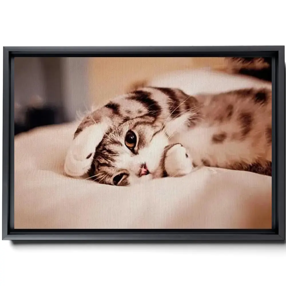 164992-framed.webp
