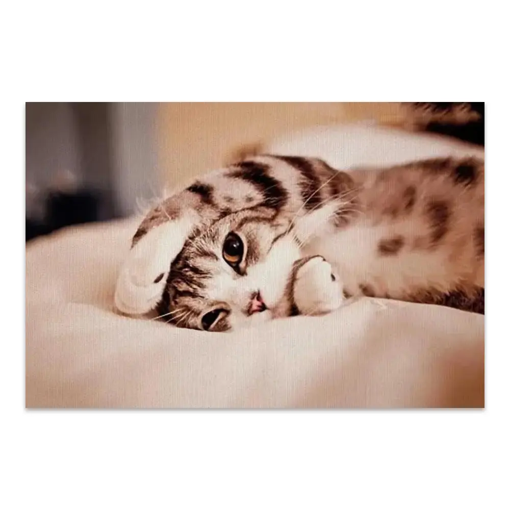 164992-poster.webp