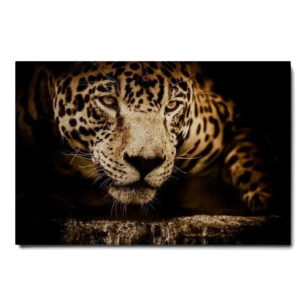 165012-canvas.webp