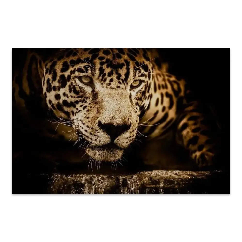 165012-poster.webp