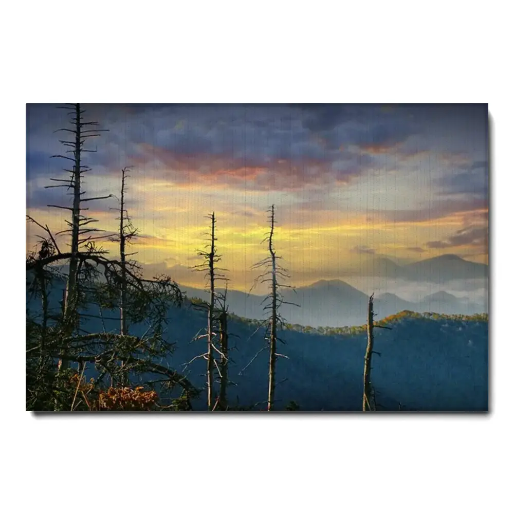 167698-canvas.webp