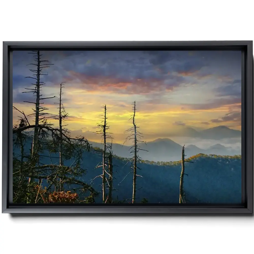 167698-framed.webp