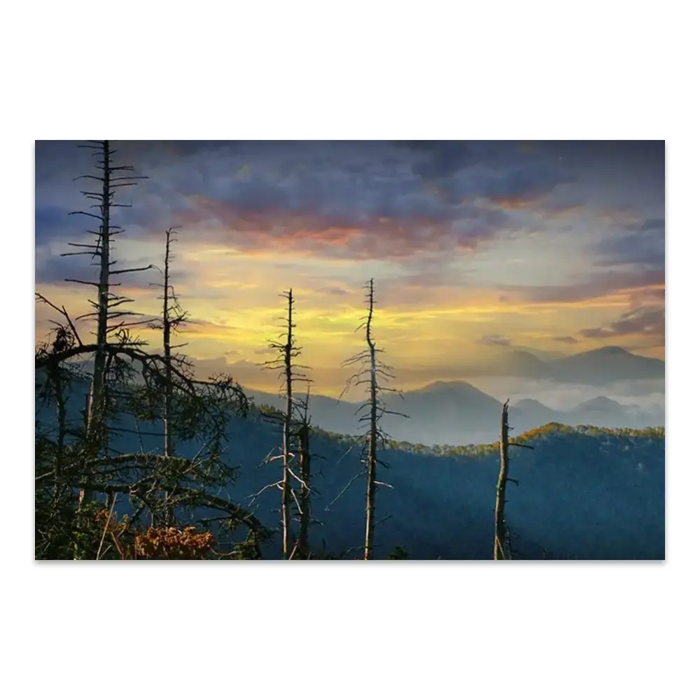 167698-poster.webp