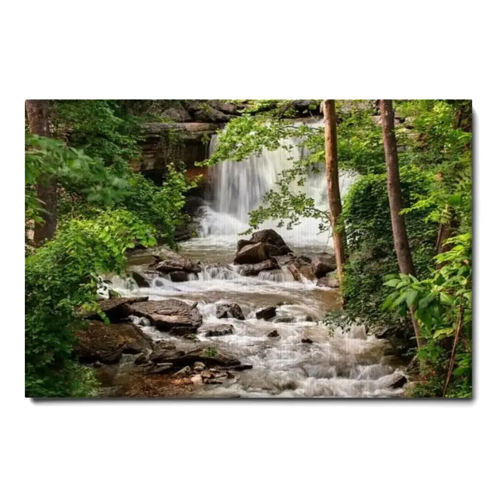 167784-canvas.webp