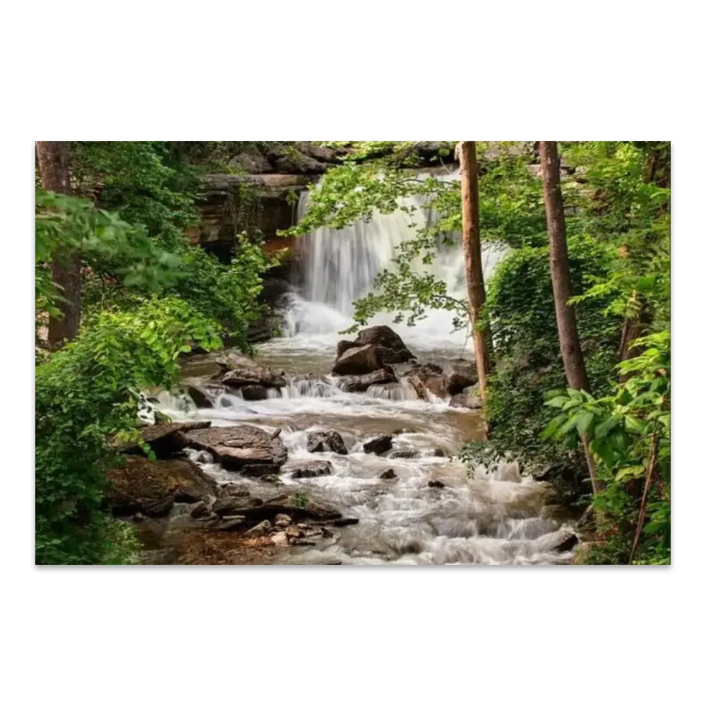 167784-poster.webp