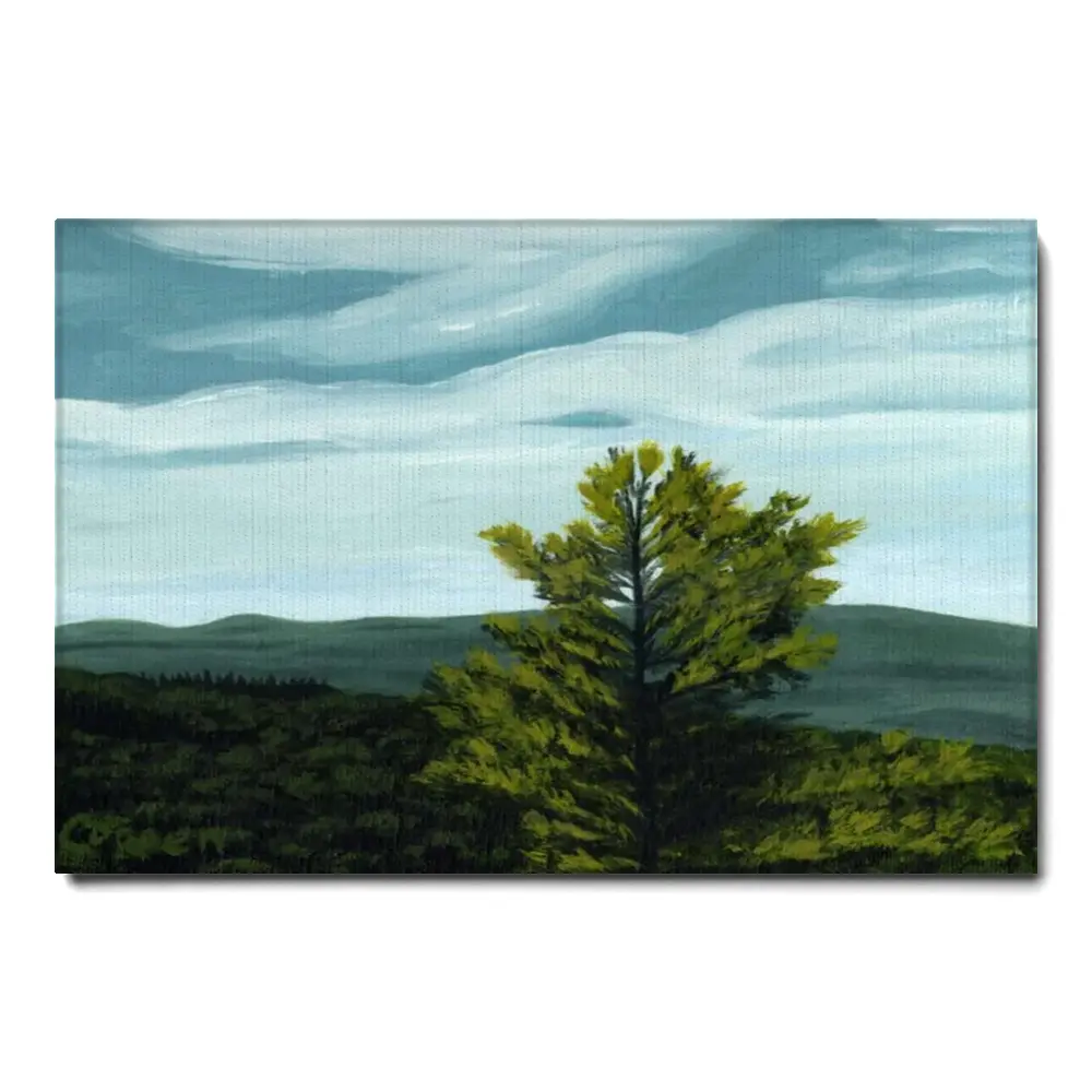 167892-canvas.webp