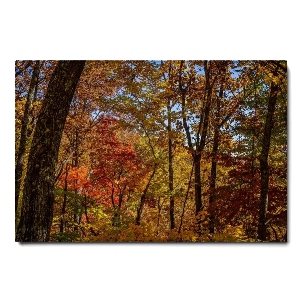 167980-canvas.webp