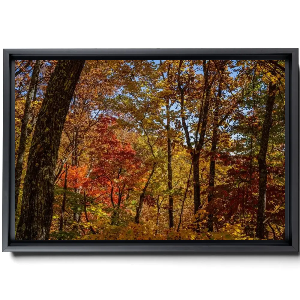 167980-framed.webp