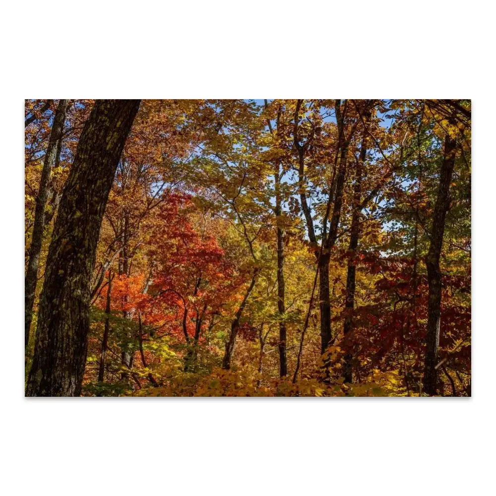 167980-poster.webp