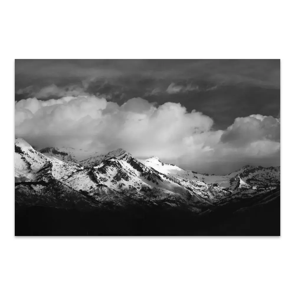 169701-poster.webp